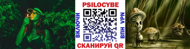Купить закладки  Качканар  Псилоцибиновые грибы MAGIC MUSHROOMS 